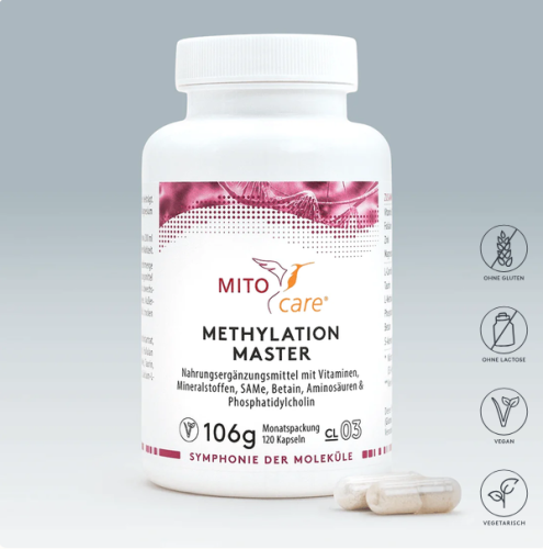 Screenshot 2026-07-16 at 10-19-00 Methylation Master Epigenetik & DNA MITOcare.png