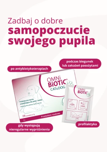 Dobre-samopoczucie-Twojego-pupila.-Probiotyk-dla-psa-i-kota.-OMNi-BiOTiC-Probiotyk-dla-psa-i-kota.webp